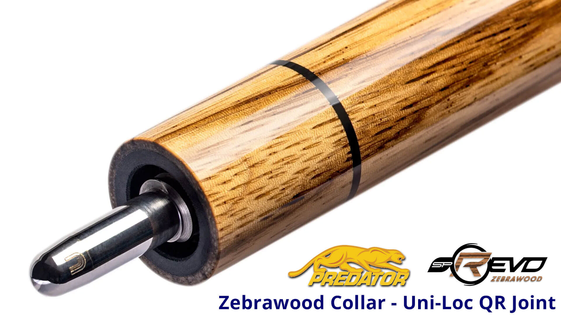 Predator-SP2-REVO-Zebra-1—Zebrawood-Collar—Detail Predator-SP2-REVO-Zebra-1---Zebrawood-Collar---Detail