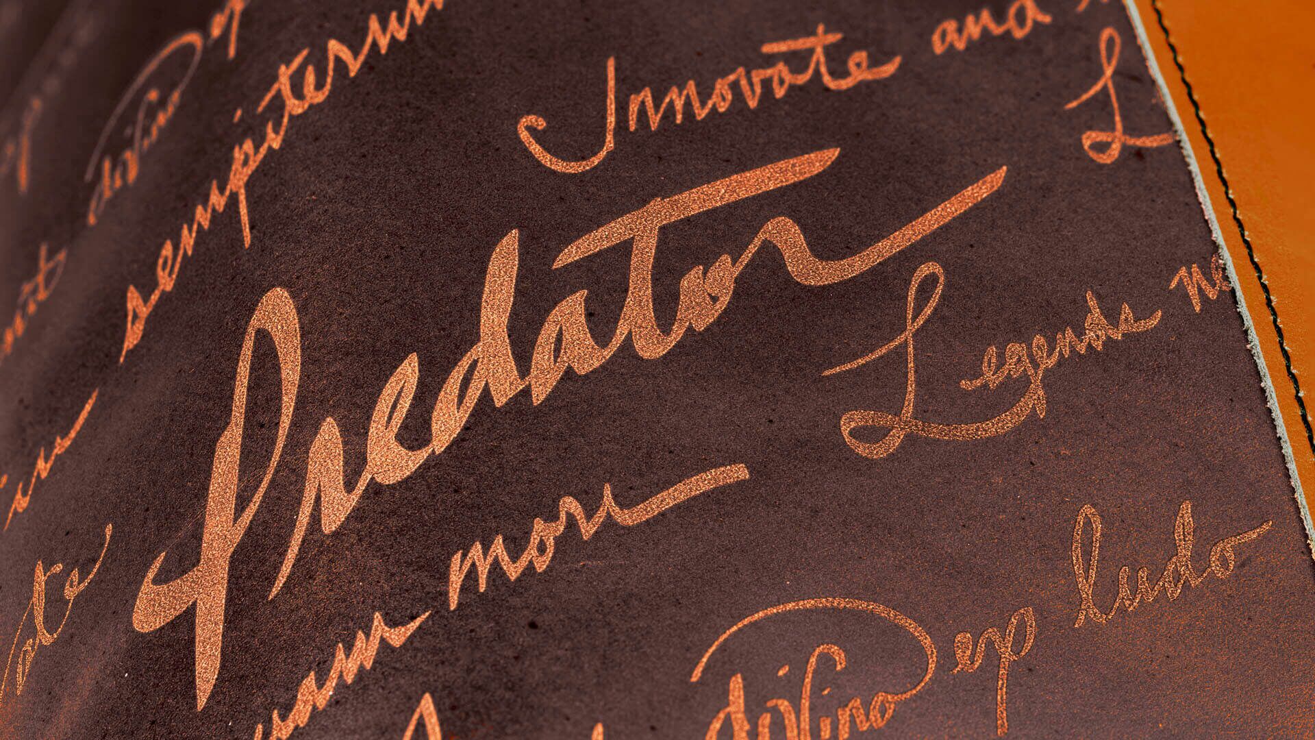 predator-limited-edition-legacy-3×5-dark-brown-predator