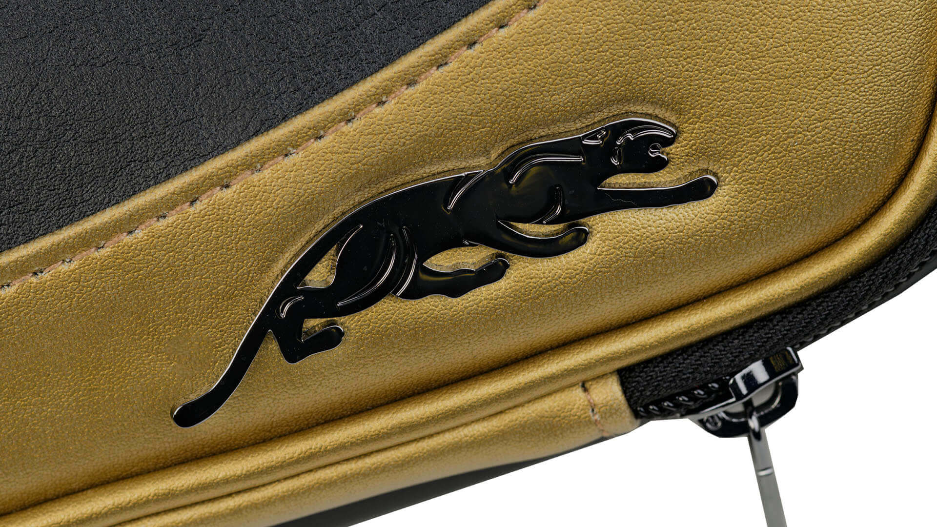 predator-roadline-30th-cue-case-2×4-logo