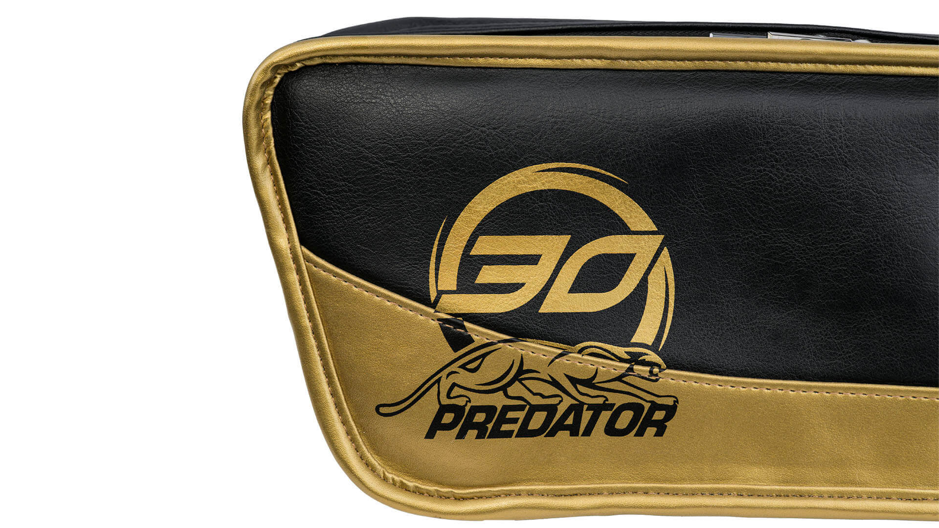 predator-roadline-30th-cue-case-4×8-logo