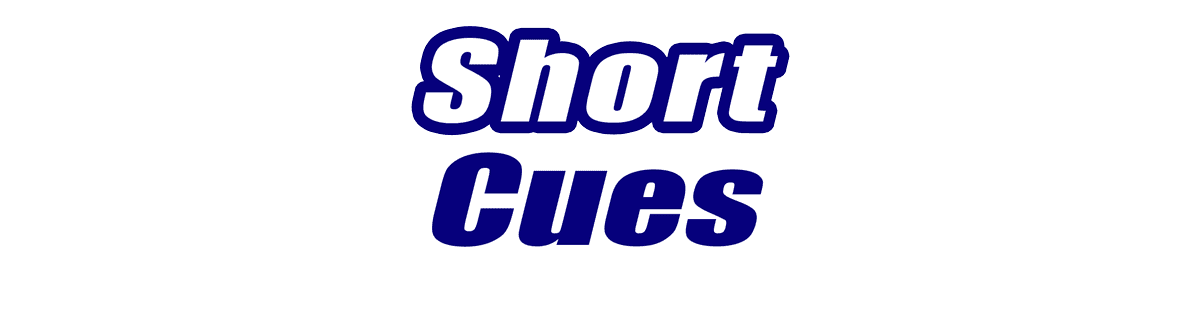Short Pool Cues Short Pool Cues for Sale