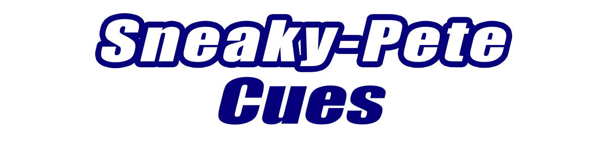 Sneaky-Pete Pool Cues Sneaky-Pete Pool Cues for Sale